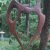 HeartIIthumb